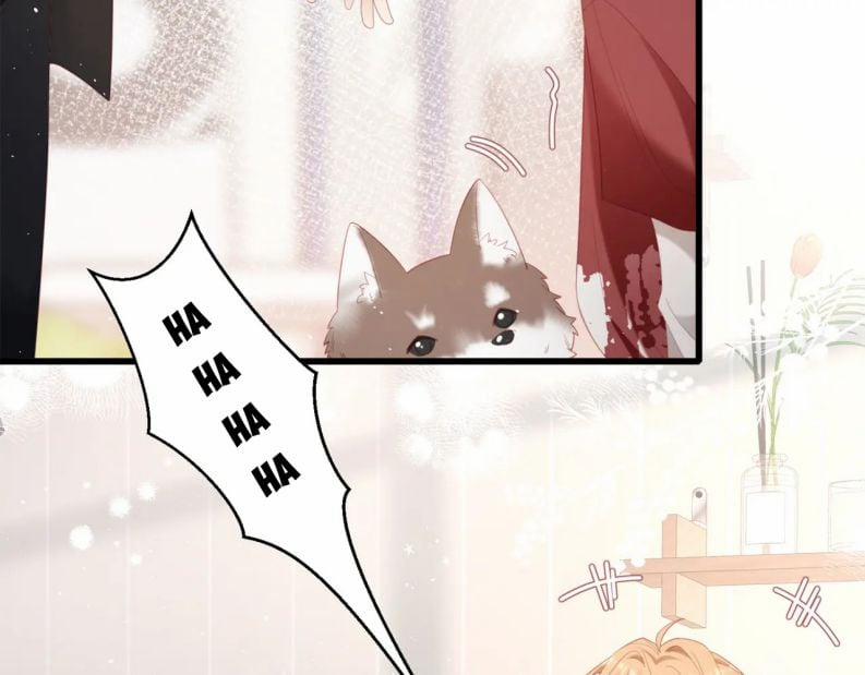 Cất Giấu 19 trang 31