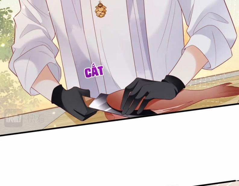 Cất Giấu 20 trang 15