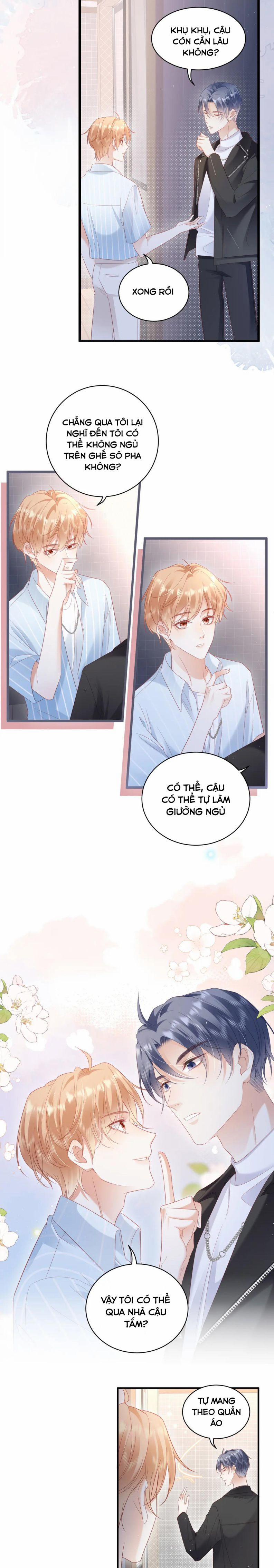 Cất Giấu 24 trang 11