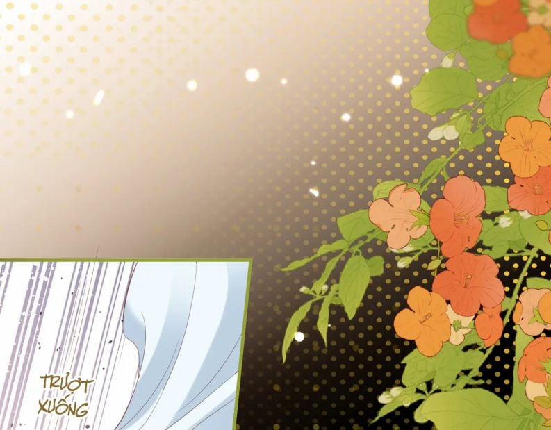 Cất Giấu 25 trang 11