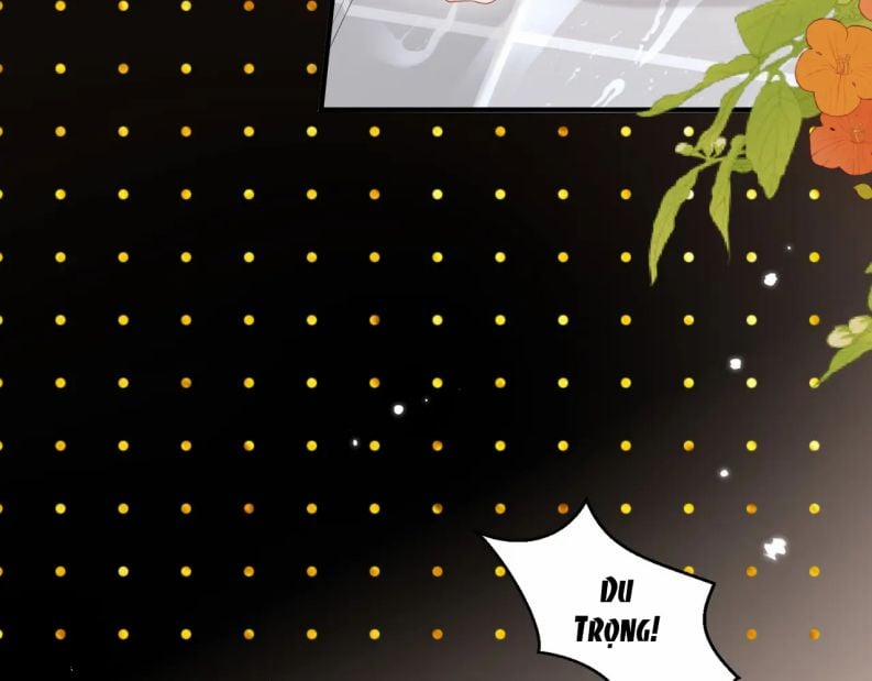 Cất Giấu 25 trang 13