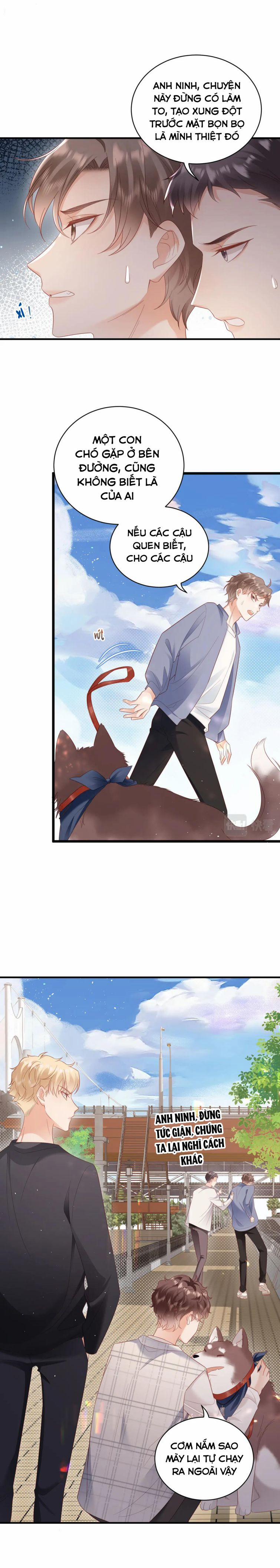 Cất Giấu 28 trang 3