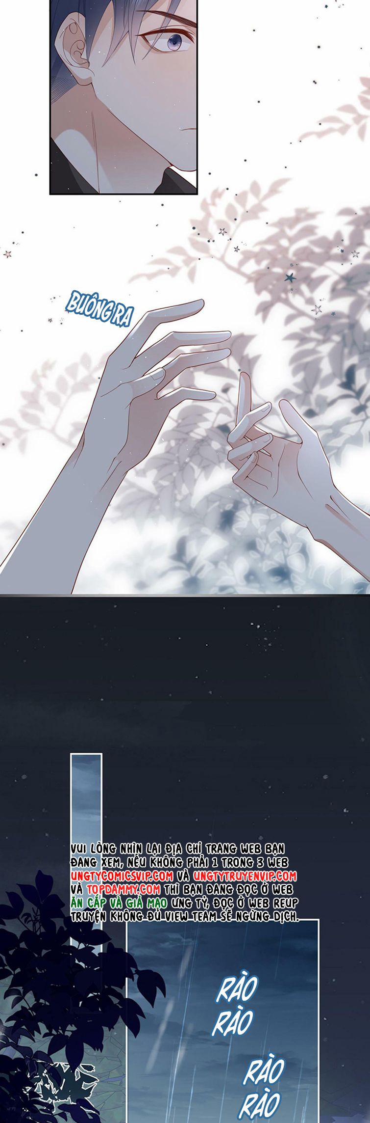 Cất Giấu 35 trang 11