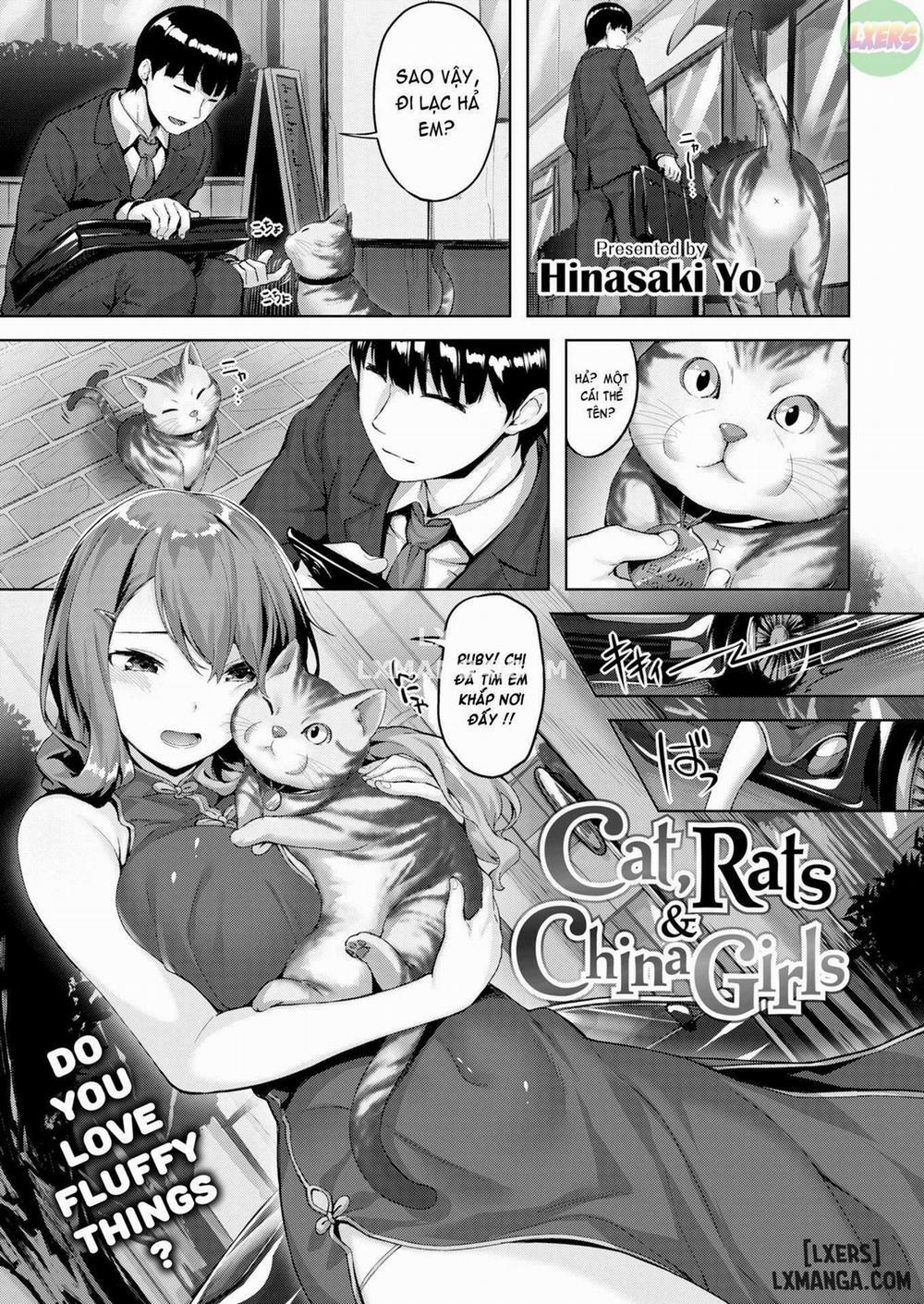 Cat, Rats & China Girls Oneshot trang 0