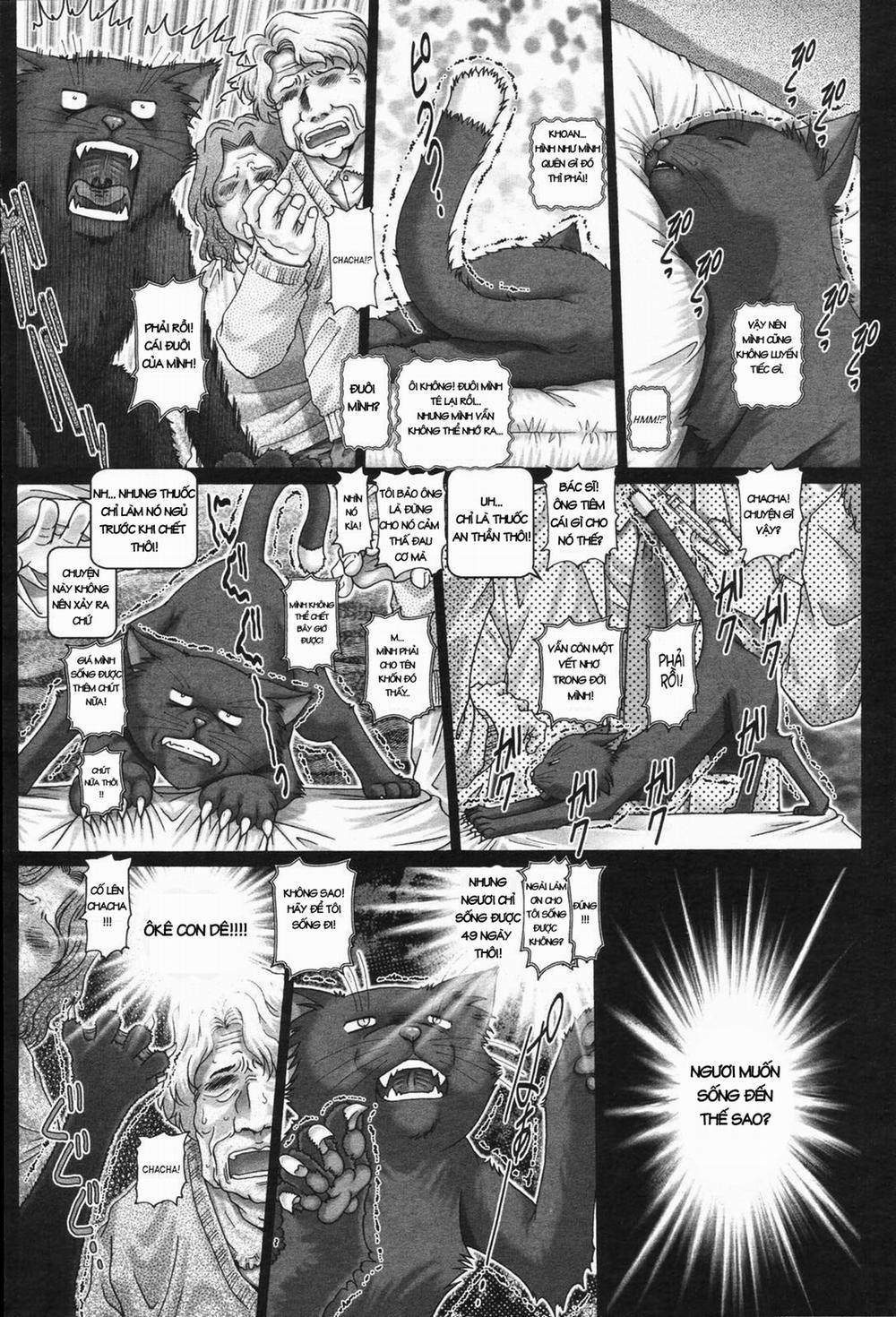 Catnip Panic 2 trang 1