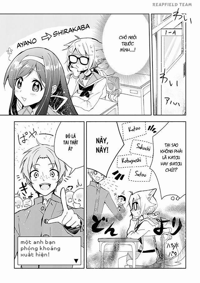 Catulus Syndrome 1 trang 10