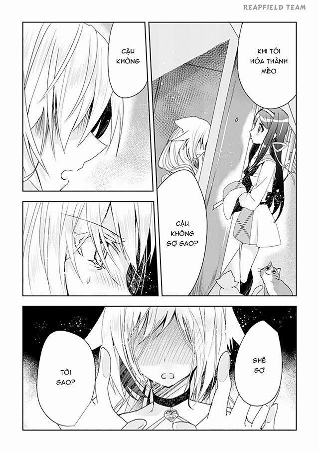 Catulus Syndrome 1 trang 26