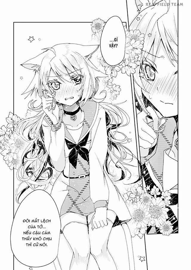 Catulus Syndrome 1 trang 37