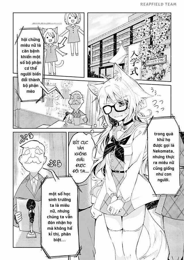 Catulus Syndrome 1 trang 5