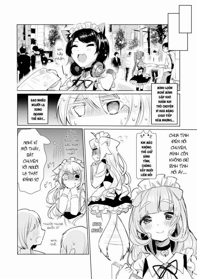 Catulus Syndrome 11 trang 8