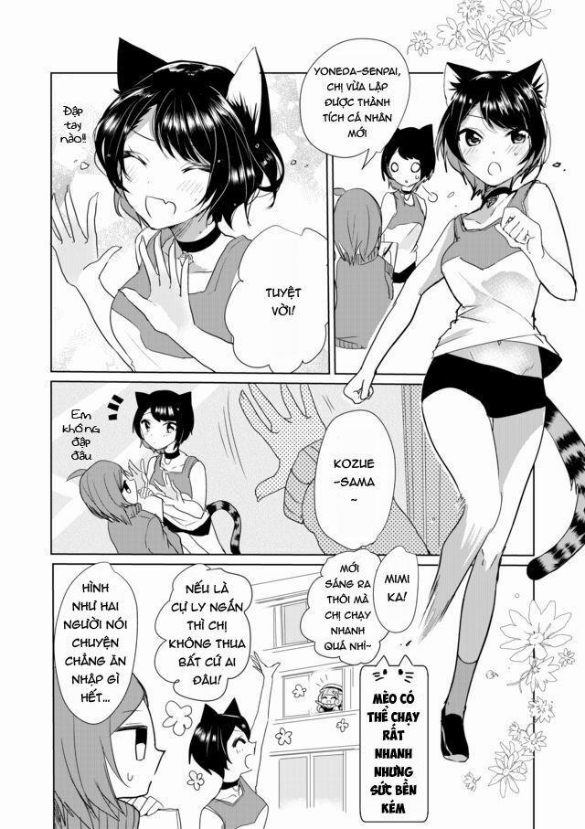 Catulus Syndrome 17 trang 4