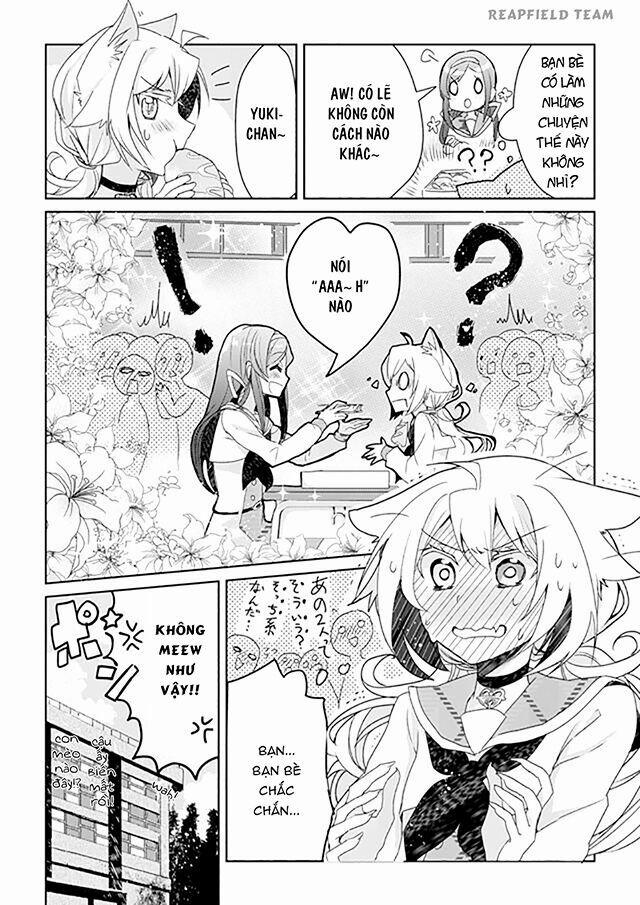 Catulus Syndrome 2 trang 19