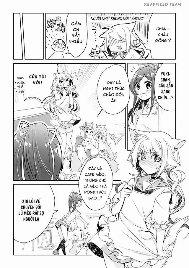 Catulus Syndrome 2 trang 7