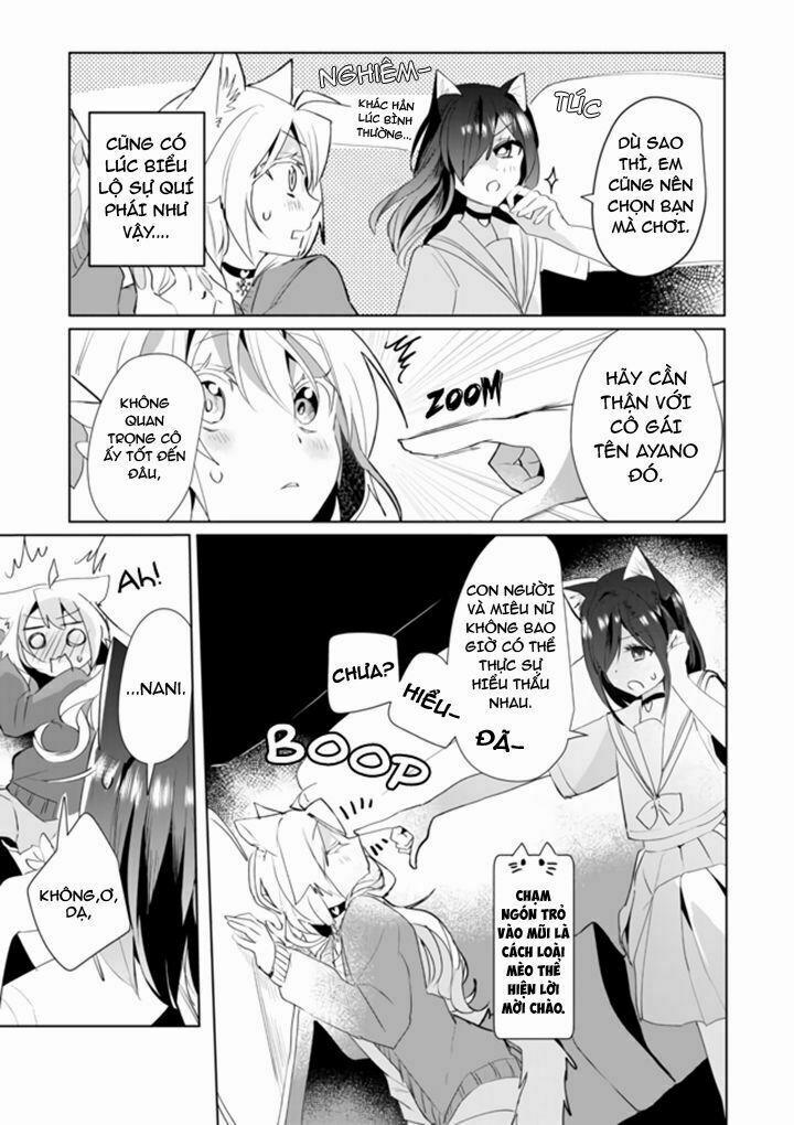 Catulus Syndrome 37 trang 11