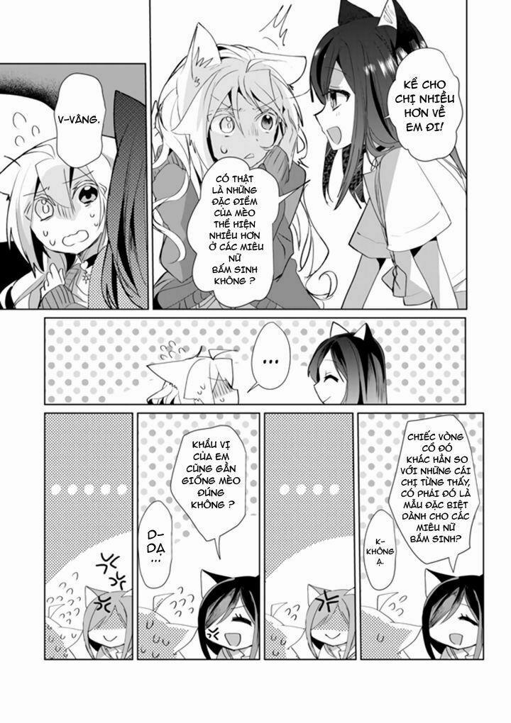 Catulus Syndrome 37 trang 5