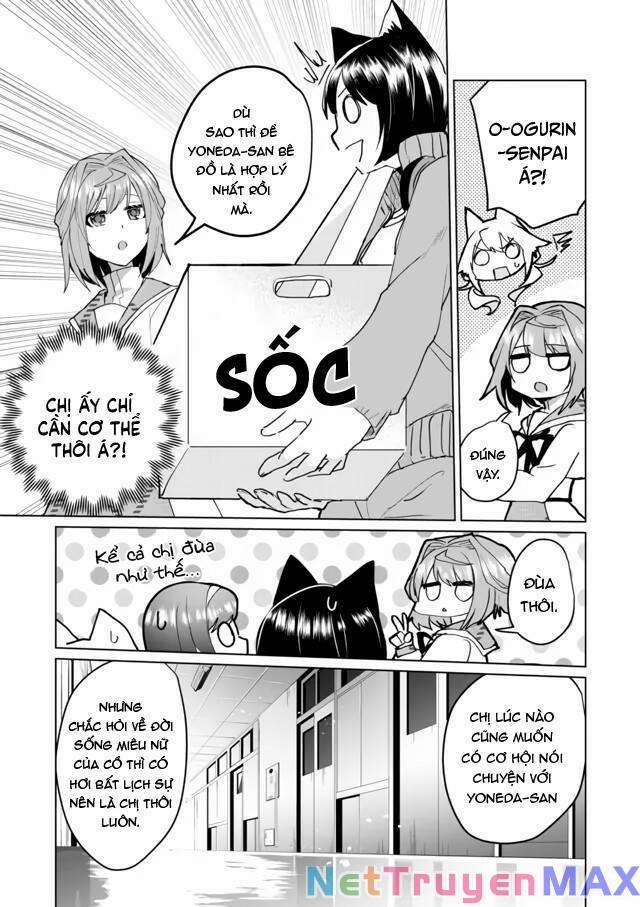 Catulus Syndrome 62 trang 7