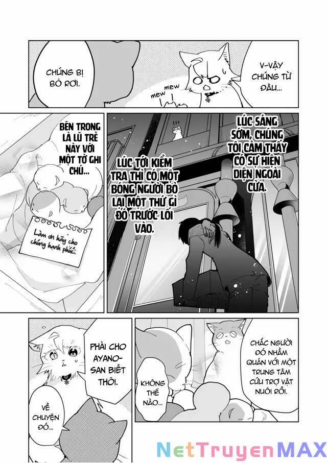 Catulus Syndrome 71 trang 5