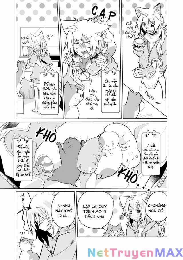 Catulus Syndrome 71 trang 9