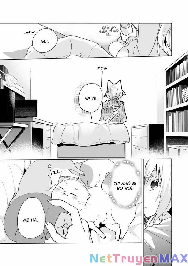 Catulus Syndrome 72 trang 4