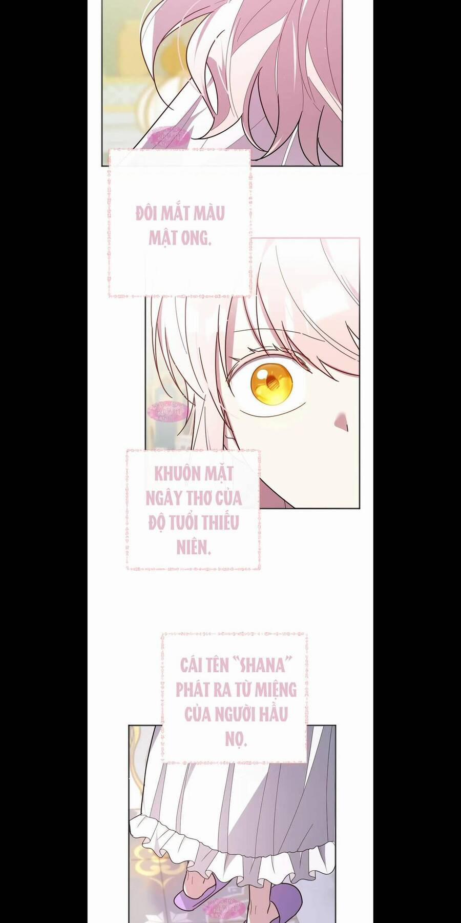 Cậu Ấy Thức Tỉnh Khi Tôi Đã Chết 2 trang 14