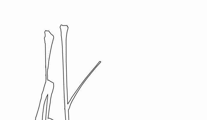 Cậu Bé Của Thần Chết 3 trang 55