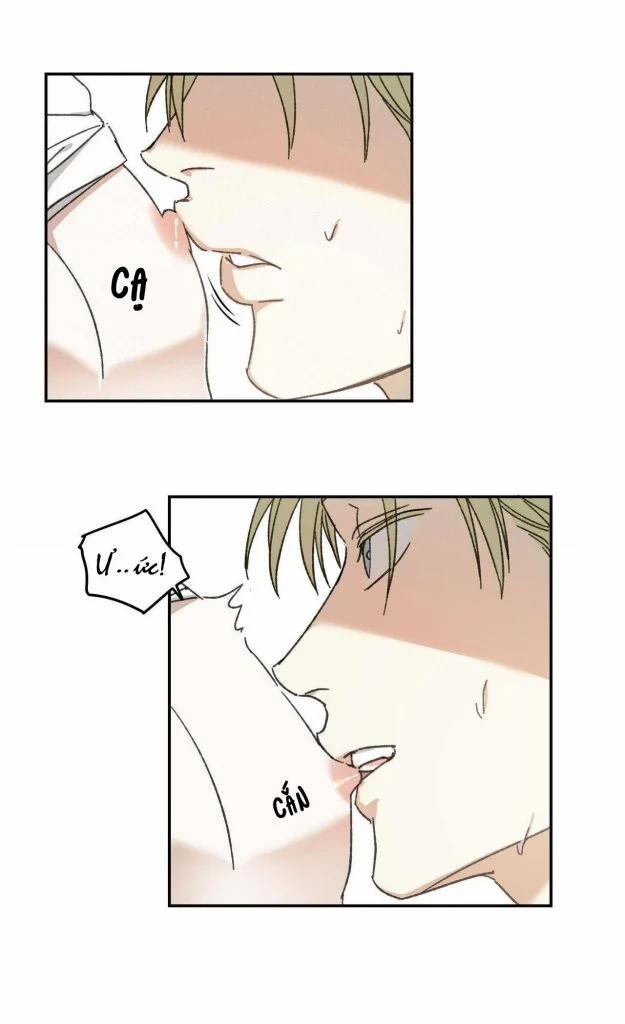 Cậu Chủ Của Tôi 8 trang 13