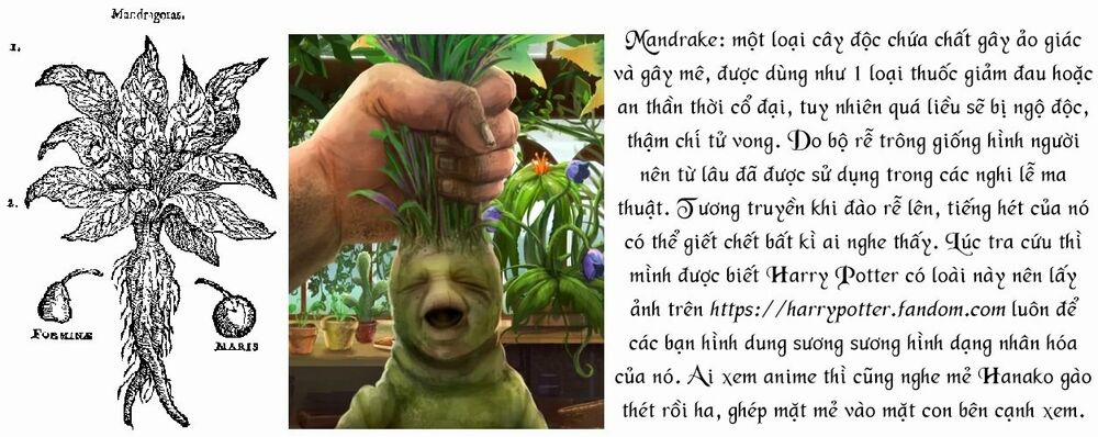 Câu Chuyện Cuộc Sống Học Đường Của 3 Cô Gái 0 Con rối trang 16