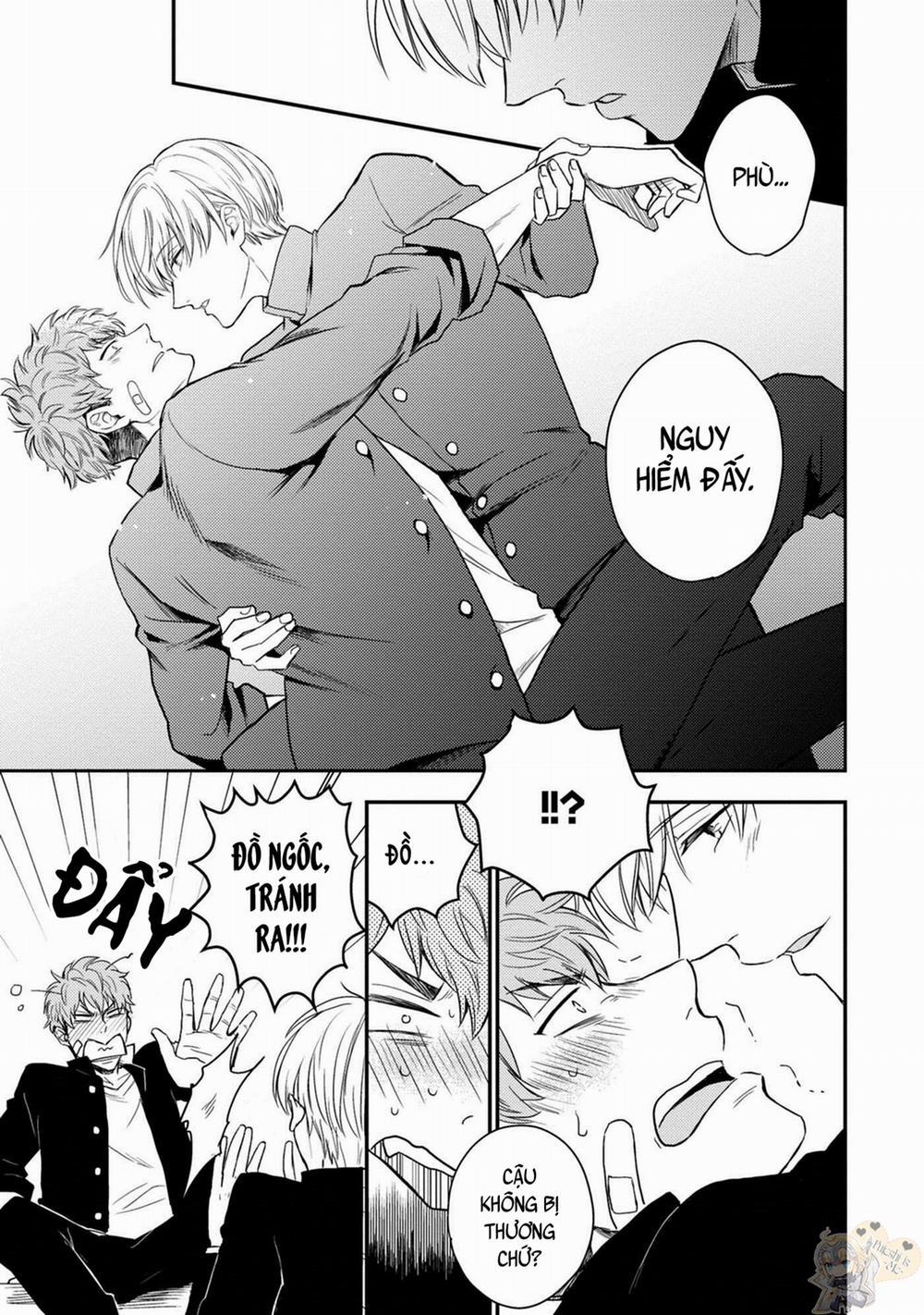 Cậu Là Công Chúa Của Tớ 1 trang 28