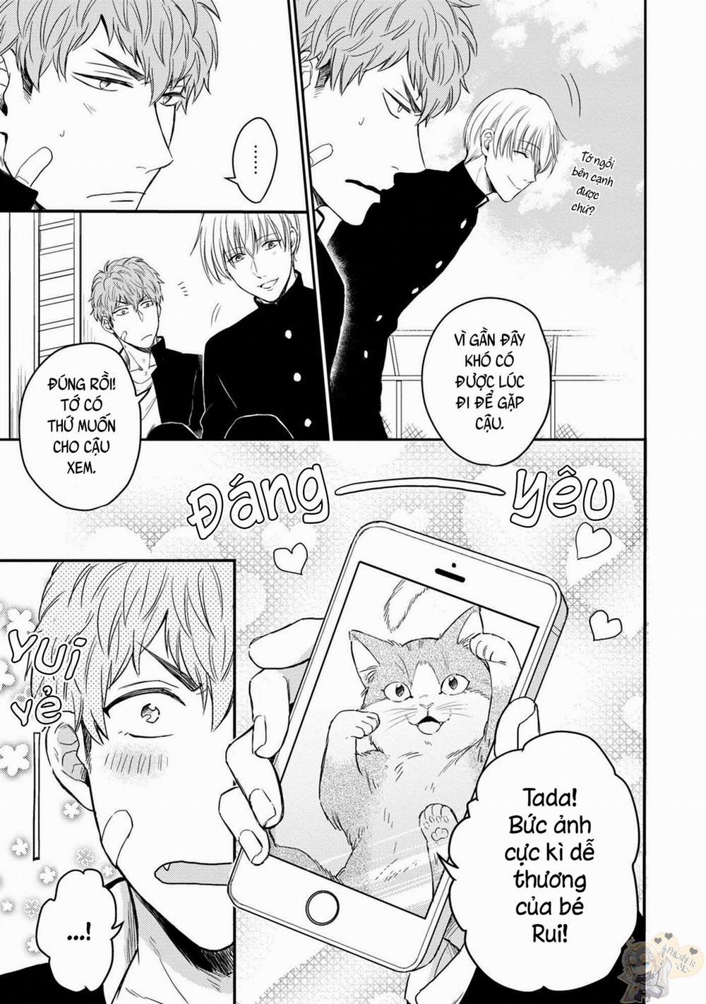 Cậu Là Công Chúa Của Tớ 2 trang 22