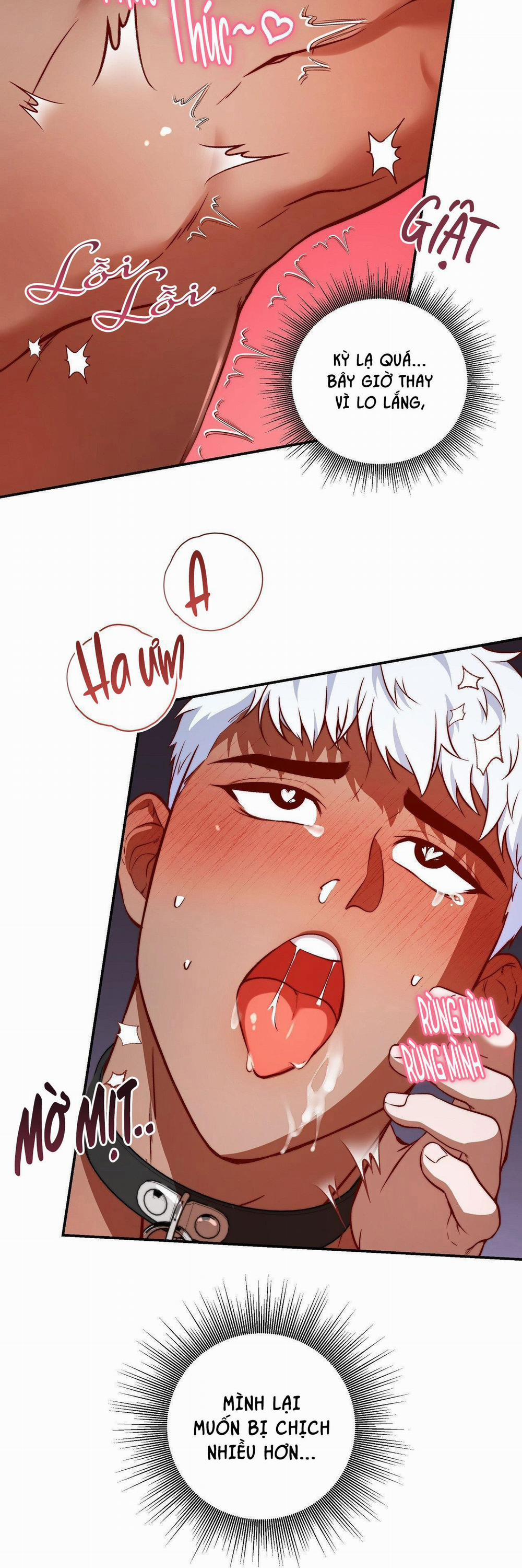 Câu Lạc Bộ Bí Mật 2.3 trang 20