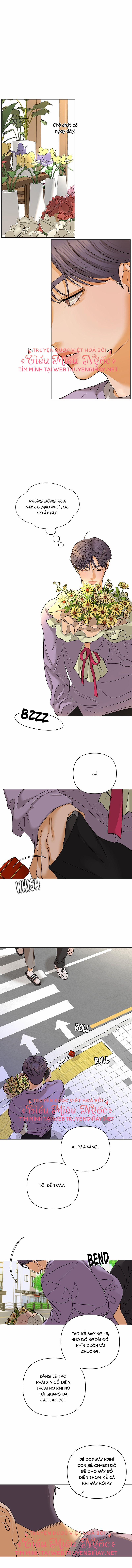 Câu Lạc Bộ Của Những Lọ Lem 56 trang 4