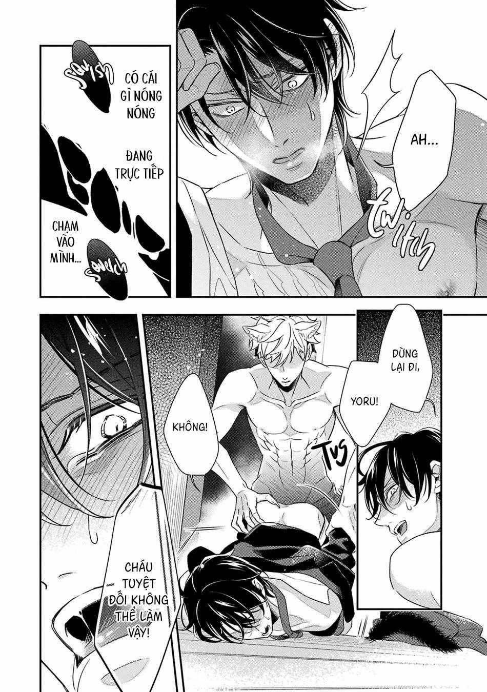 Cậu Người Sói Này Muốn Ăn Thịt Chàng Thám Tử Ưa Thích Của Mình 8 trang 16