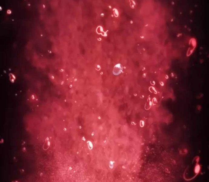 Cậu Út Nhà Công Tước Là Sát Thủ Hồi Quy 50 trang 189