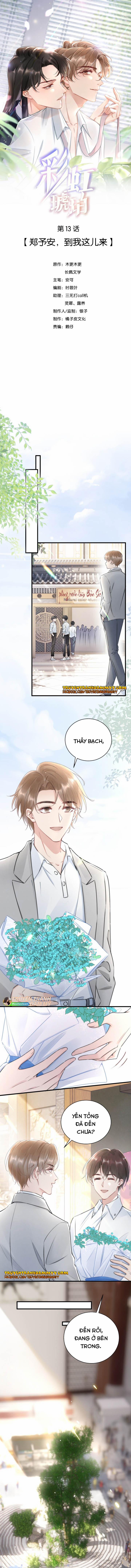 Cầu Vòng Hổ Phách 13 trang 0