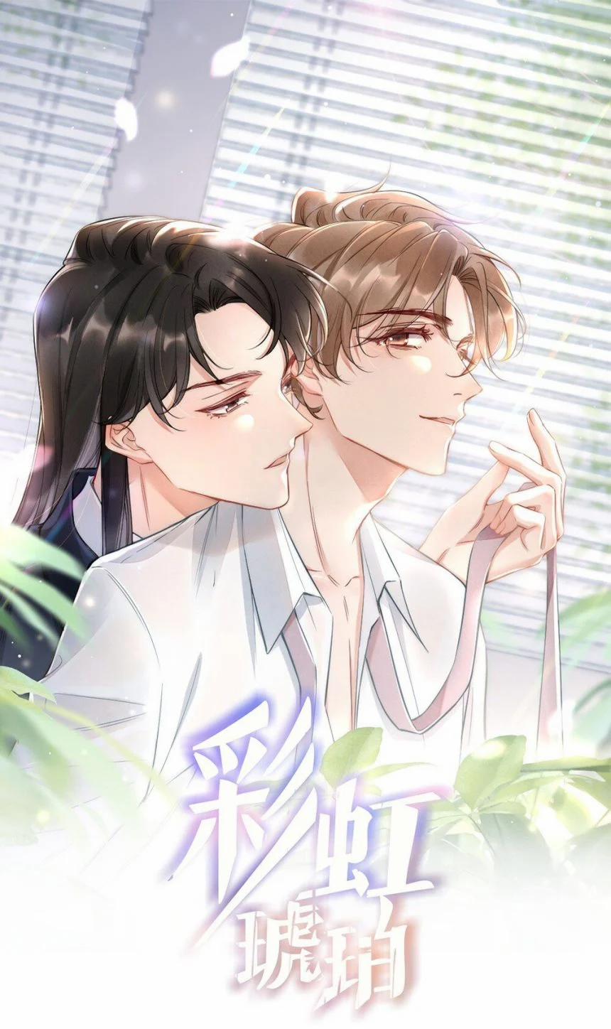 Cầu Vòng Hổ Phách 19 trang 0
