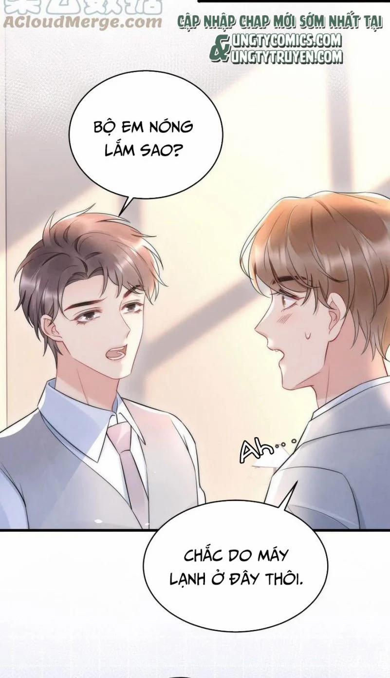 Cầu Vòng Hổ Phách 28 trang 16