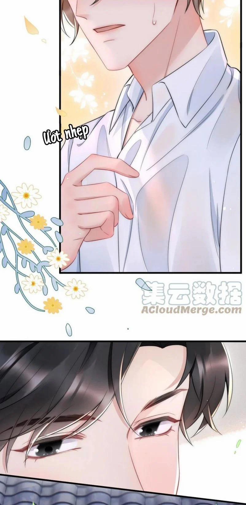 Cầu Vòng Hổ Phách 28 trang 25