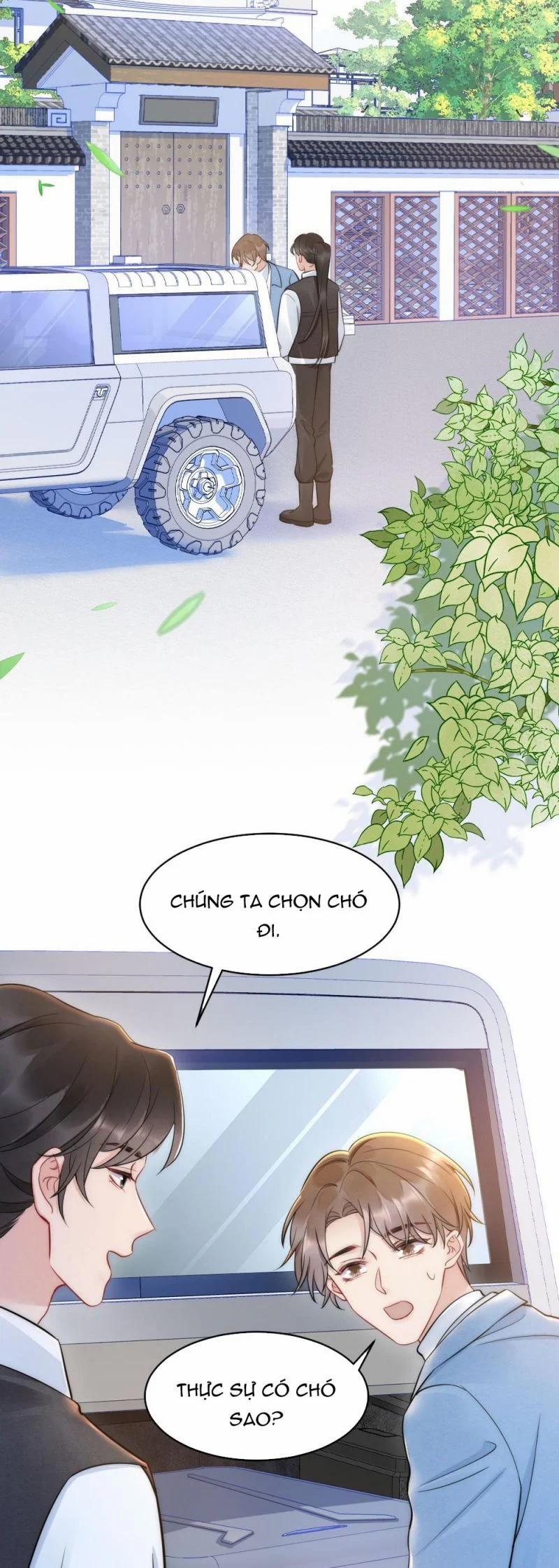 Cầu Vòng Hổ Phách 32 trang 11