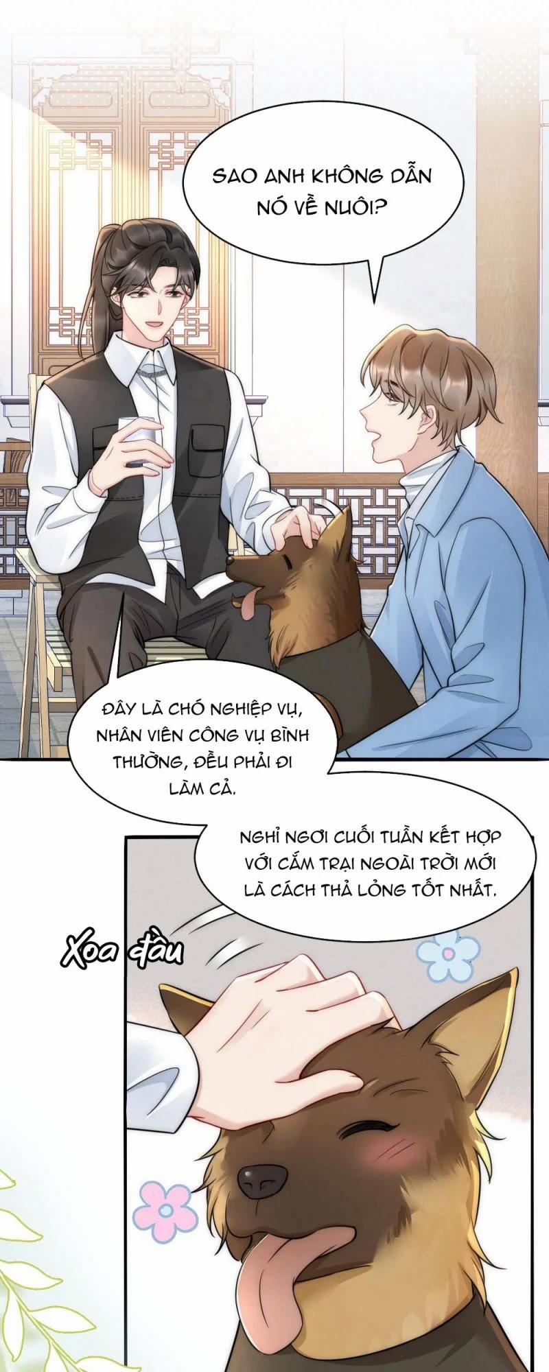 Cầu Vòng Hổ Phách 32 trang 20