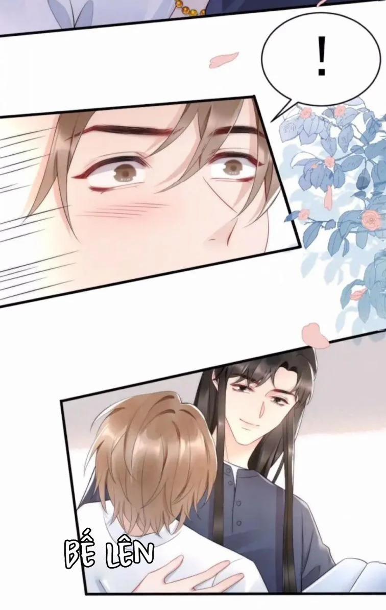 Cầu Vòng Hổ Phách 36 trang 11