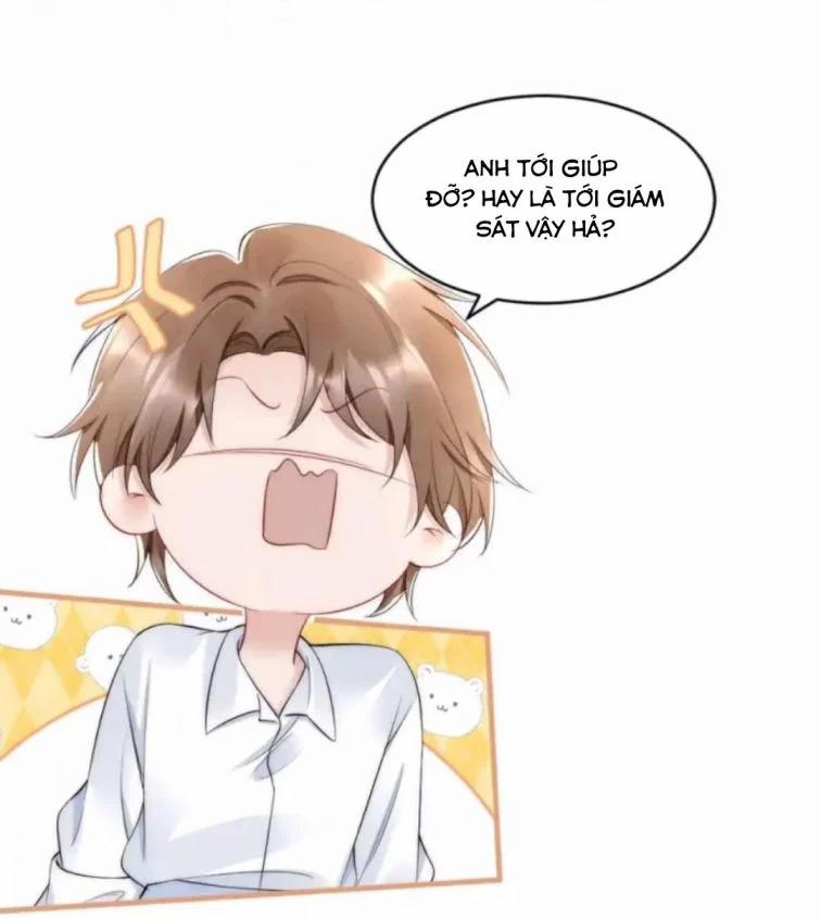 Cầu Vòng Hổ Phách 36 trang 7