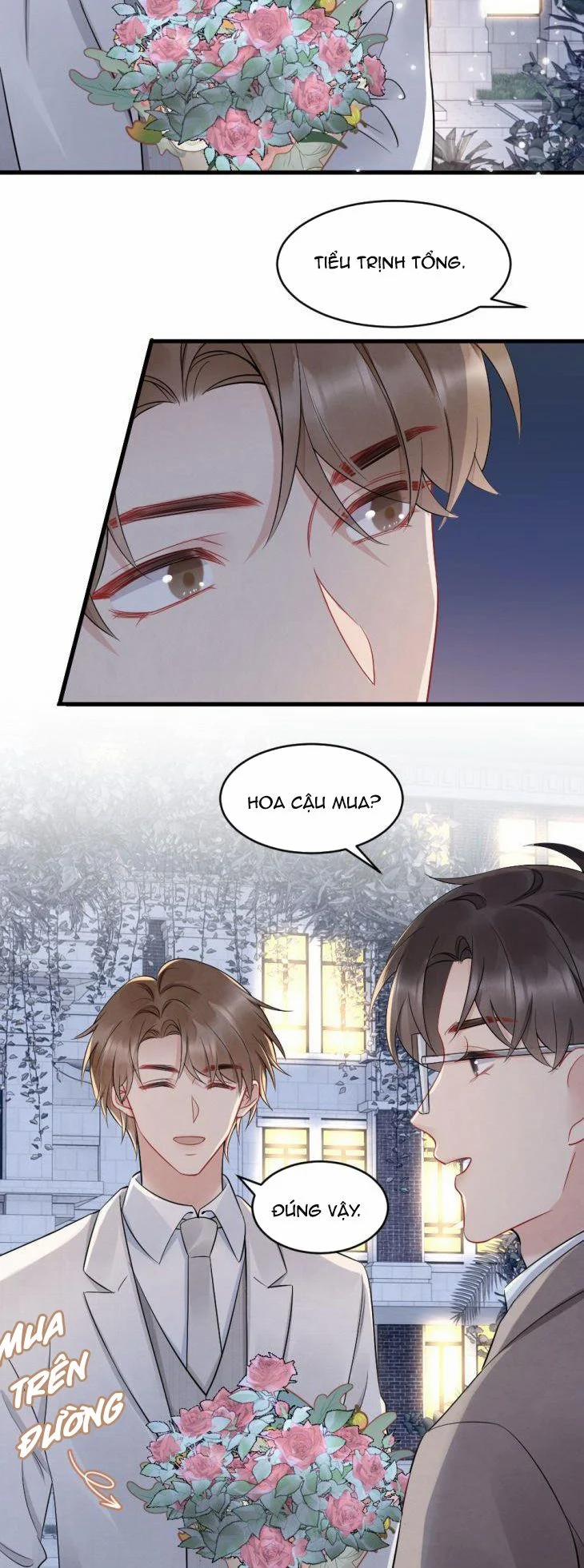 Cầu Vòng Hổ Phách 42 trang 28