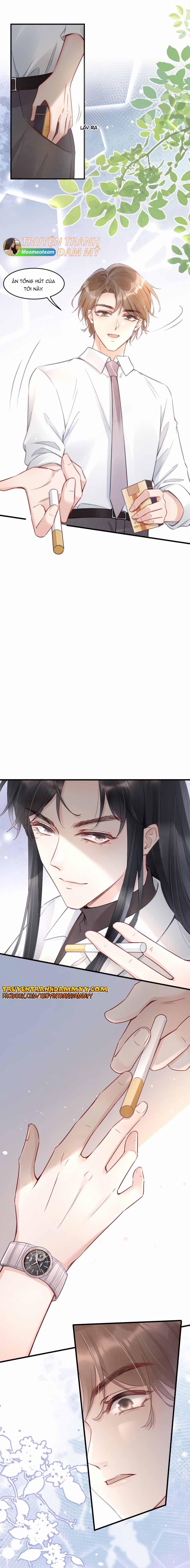 Cầu Vòng Hổ Phách 5 trang 8