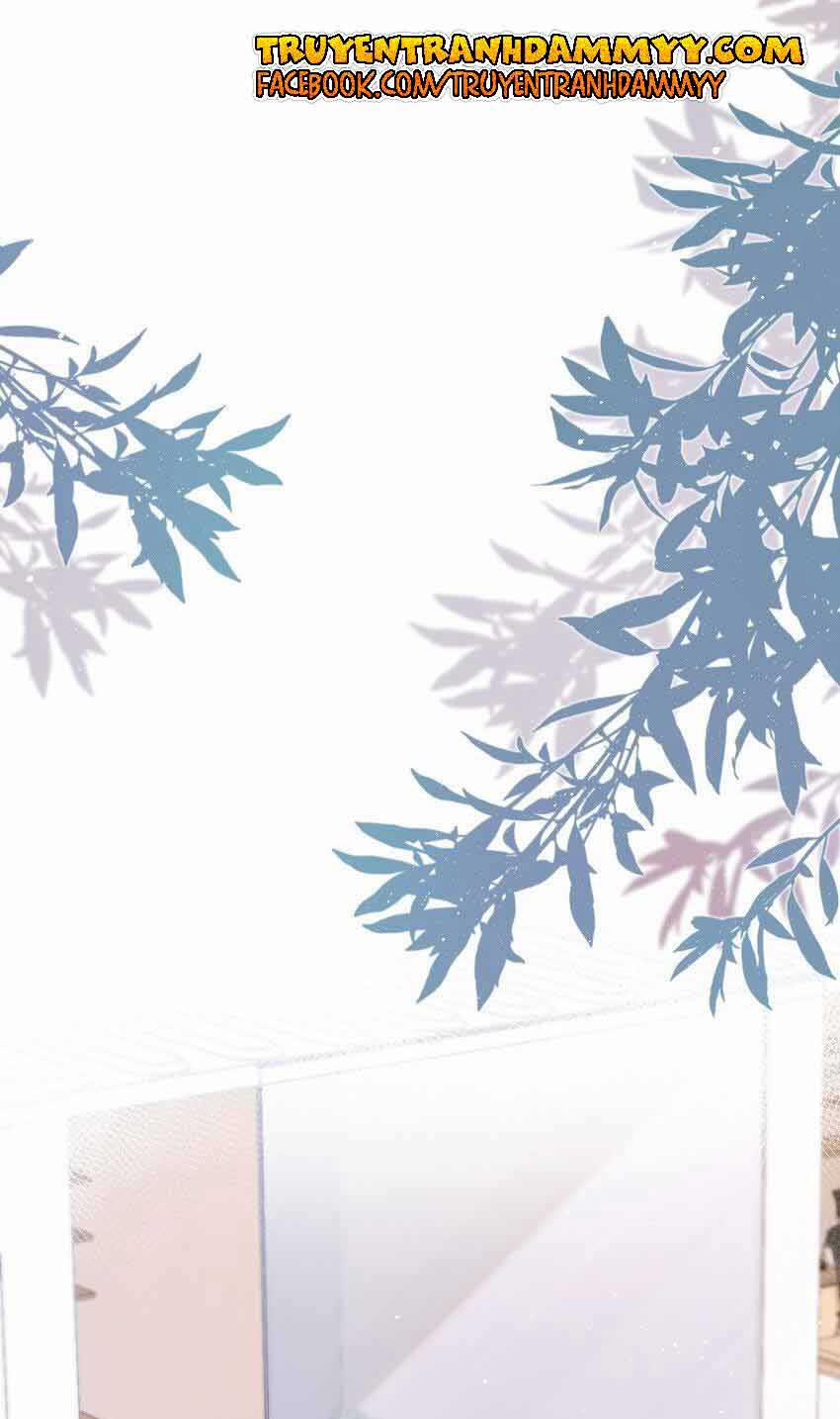 Cầu Vòng Hổ Phách 8 trang 2