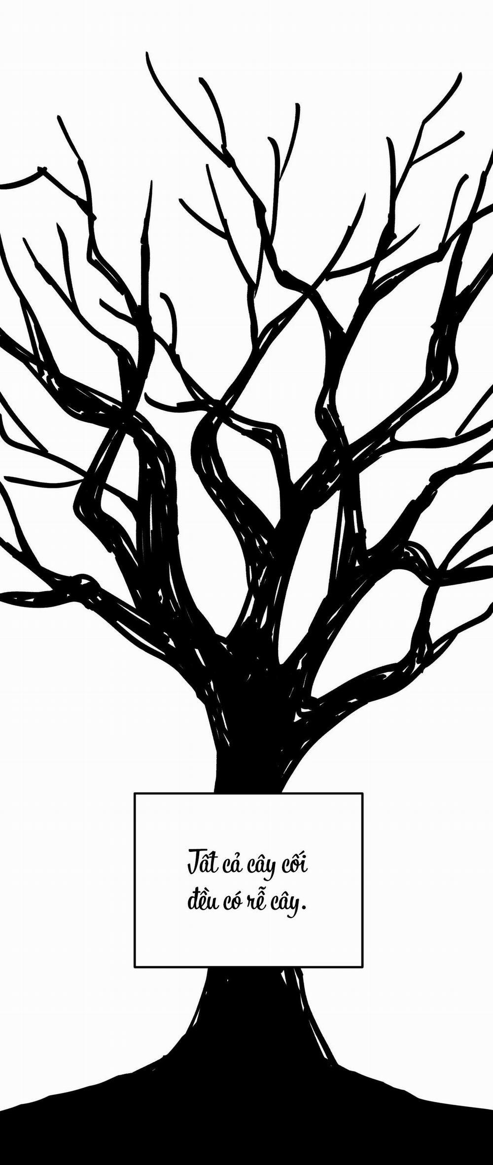 Cây Không Có Rễ 1 trang 26