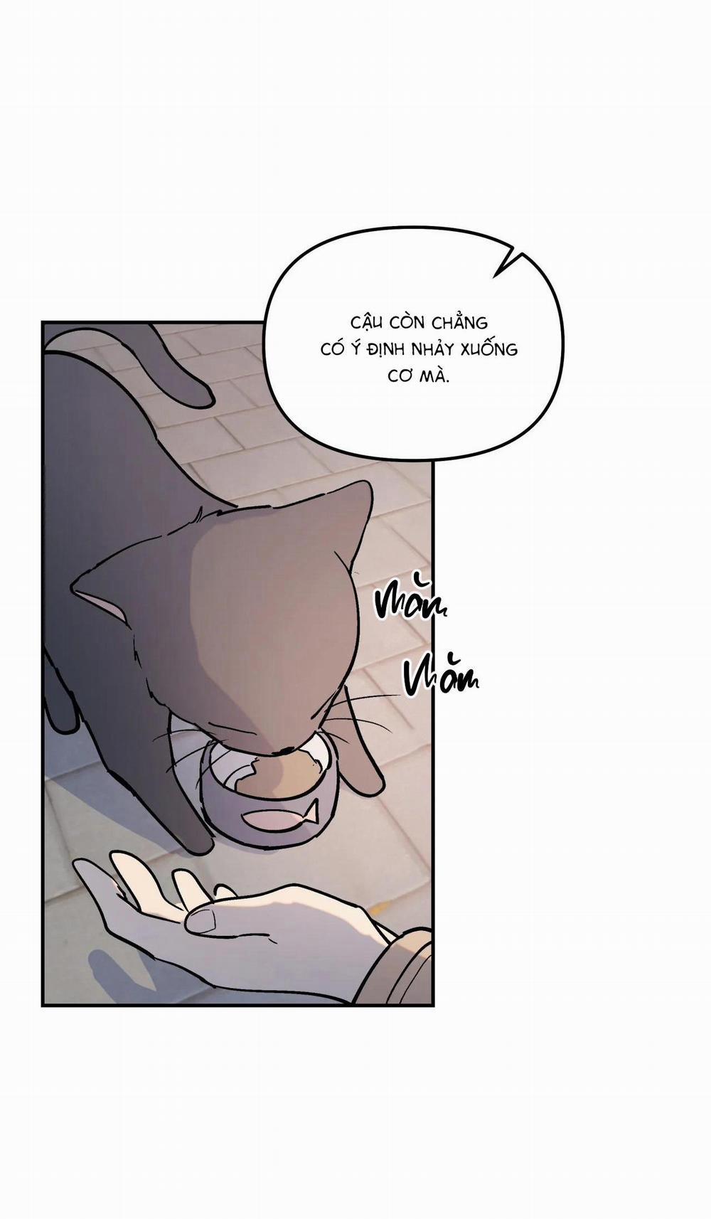 Cây Không Có Rễ 1 trang 41