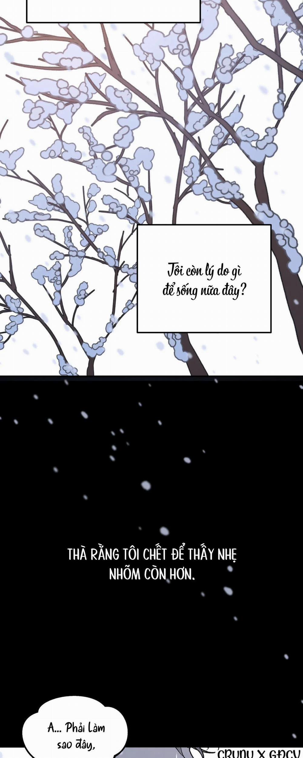 Cây Không Có Rễ 10 trang 36