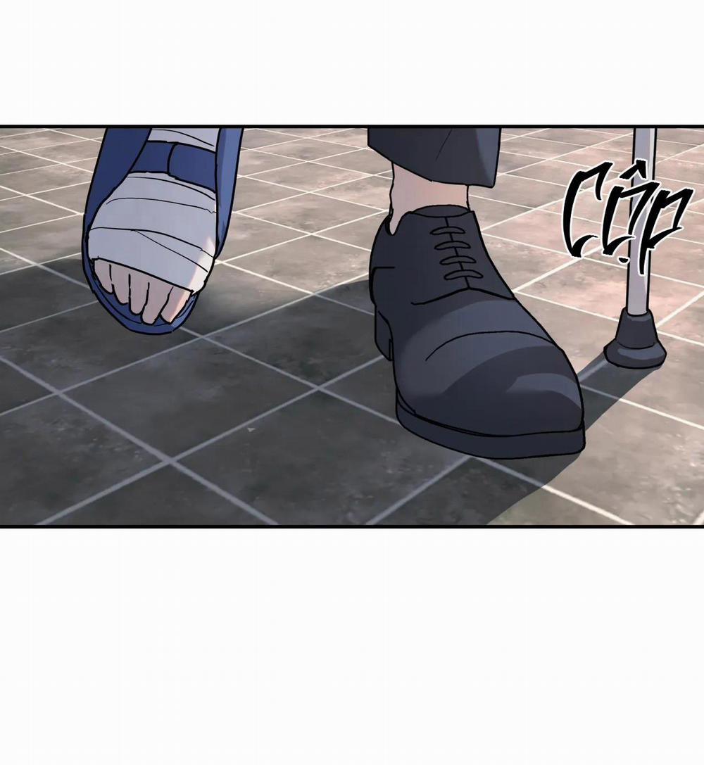 Cây Không Có Rễ 11 trang 36