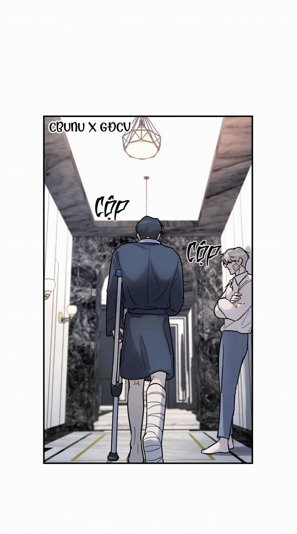 Cây Không Có Rễ 11 trang 66