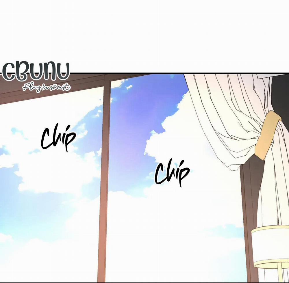 Cây Không Có Rễ 12 trang 59